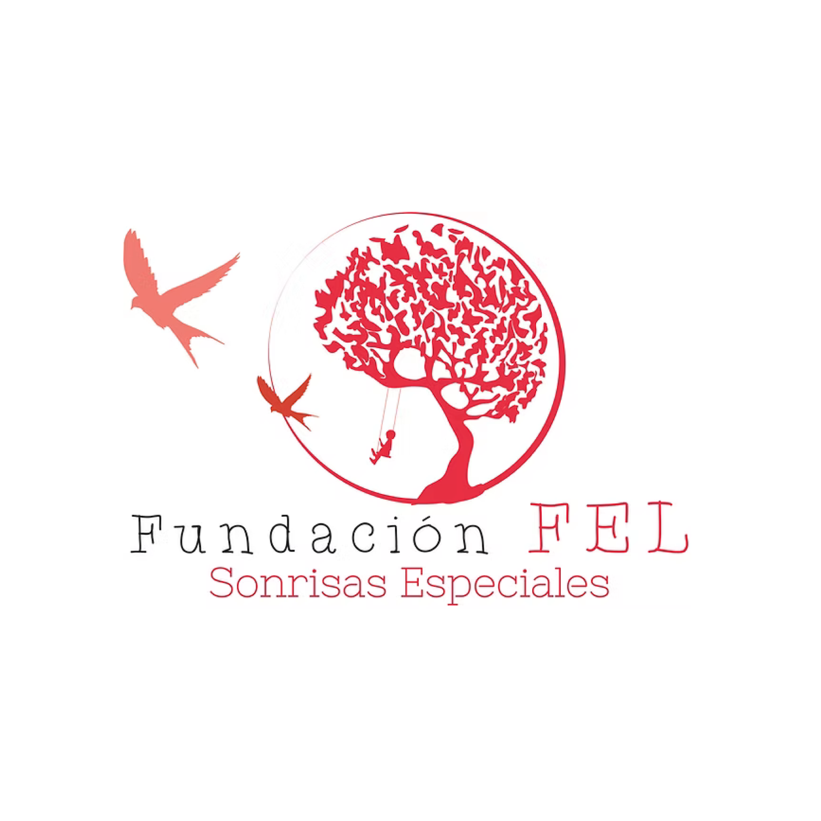fel fundación
